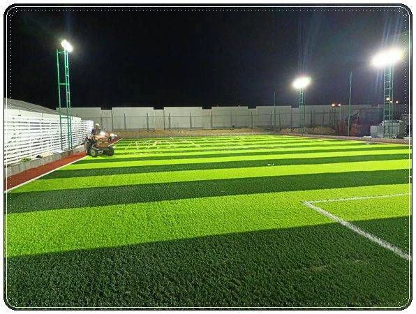 الملاعب الرياضية