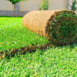 تركيب العشب الصناعي