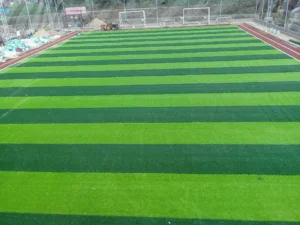 الملاعب الرياضية