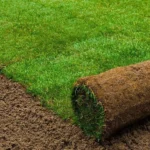 تركيب العشب الطبيعي