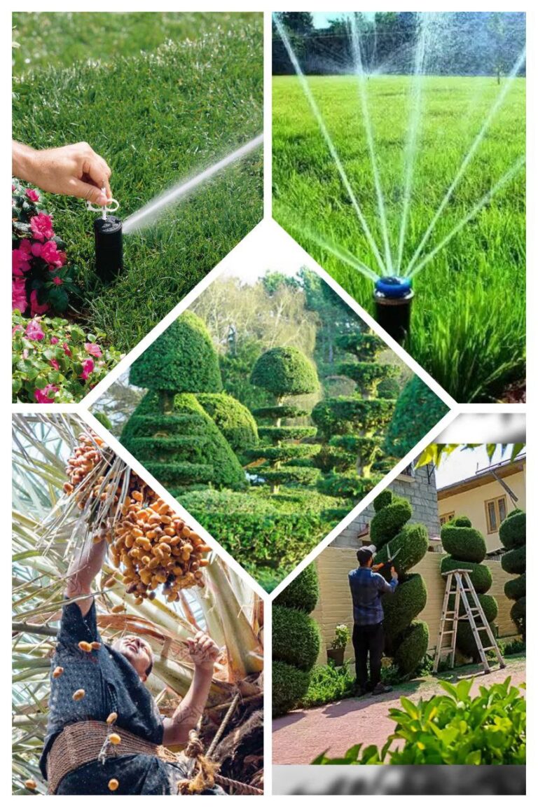 ترتيب الحدائق